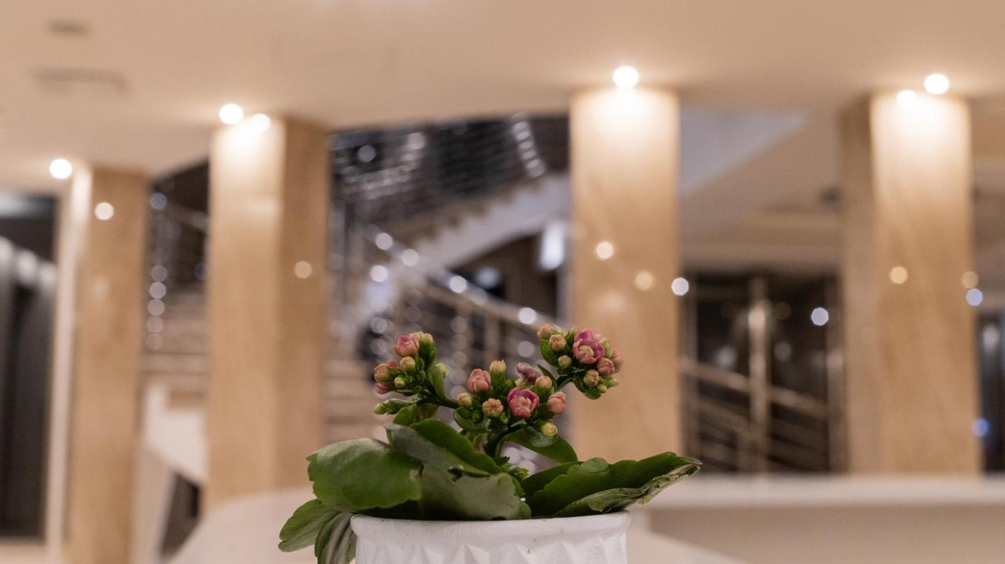 Hotel Donna Crescenza โลโกโรตอนโด ภายนอก รูปภาพ